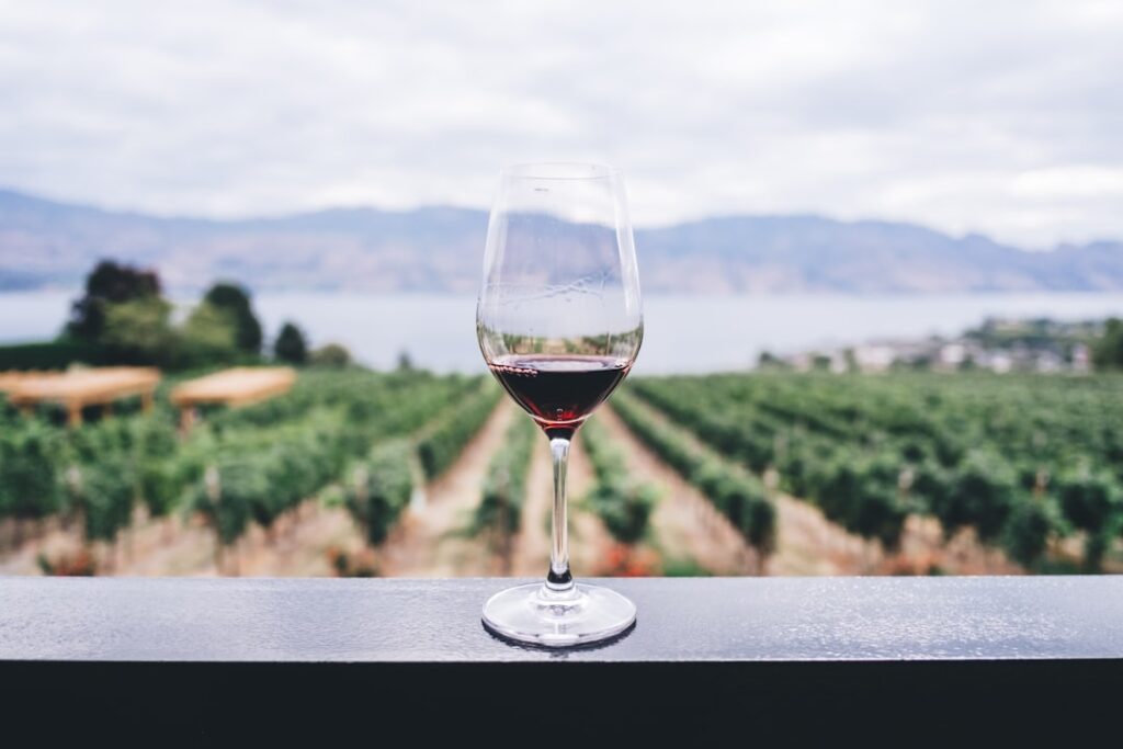 Taças de vinho, imagem ilustrativa sobre consumo de álcool